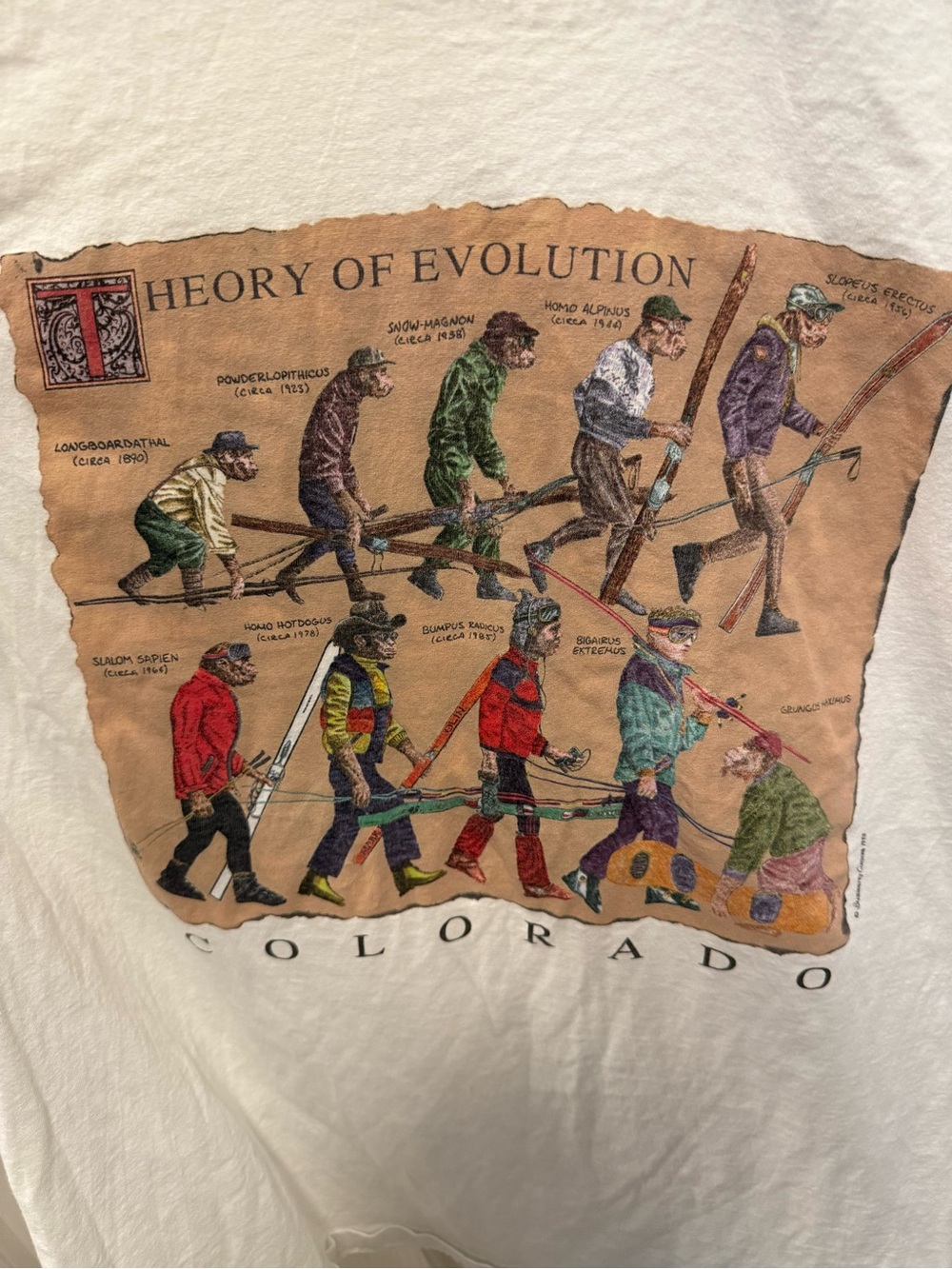 Vintage Colorado “Theory of Evolution” Ski T-Shirt XL Anvil USA Single Stitch